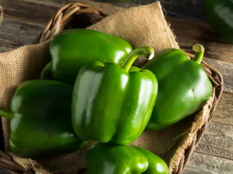 ​Capsicum