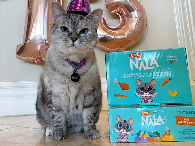 ​Nala Cat​