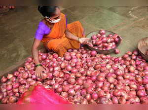 Quality Onion Prices Likely to Double by Sept