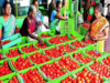 Tomato prices crash 37% in just a day in Maharashtra mandis to Rs 55 a kg!