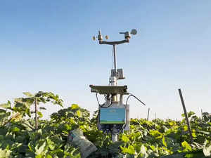 Indian agritech Fyllo partners with Spain’s Terraview for precision agriculture in Europe