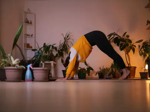 Downward Dog
