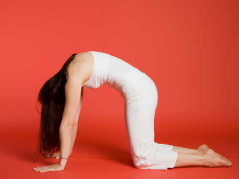 How to Do Cat-Cow Pose and Stretch the Muscles in Your Back