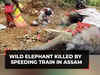 Wild elephant killed by speeding train in Assam; AP reports