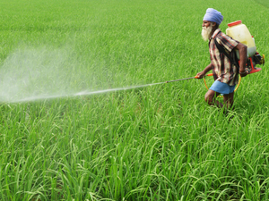 Insecticides India to invest Rs 150 cr in next 2 yrs on capacity expansion in Rajasthan, Gujarat
