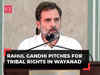 Rahul Gandhi in Wayanad: Congress leader pitches for tribal rights, says 'they're original owners of country'
