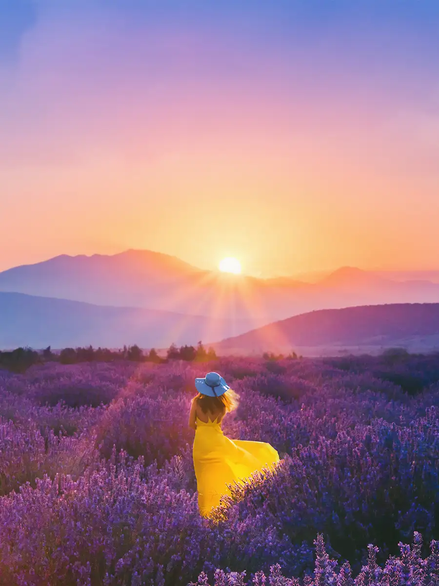 4 steps to achieve financial freedom EconomicTimes