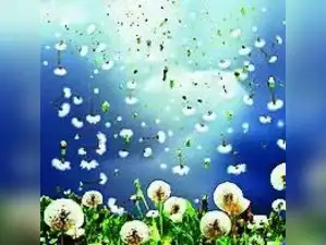 Celebrate freedom, not just free India - The Economic Times