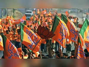 BJP CEC meets tomorrow for yearend polls