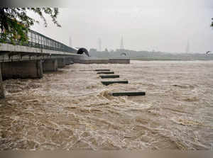 Yamuna river water level crosses danger mark