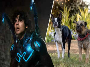 Box Office: Will ‘Blue Beetle’ or ‘Strays’ beat Barbie’s good run this weekend? Here’s a look