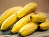 Going bananas: As Tamil Nadu supplies dry up, prices double to Rs 100/kg