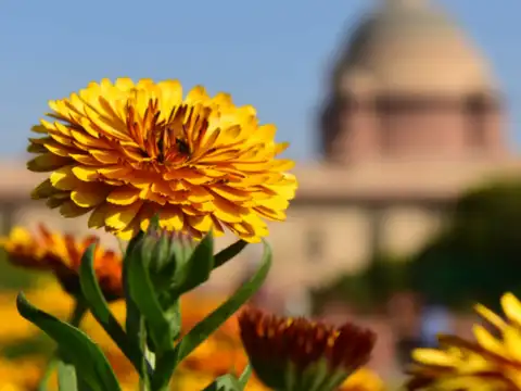 ​Visit details 