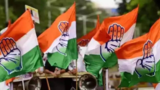 Chhattisgarh polls: Congress sets up 4 panels including for election management, manifesto