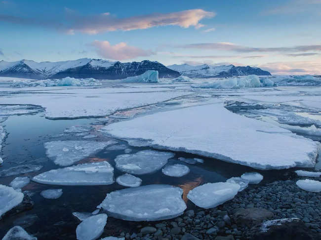 Global glacial area could be halved due to human-caused climate change, leading to a shift towards maritime, freshwater and terrestrial ecosystems in these areas.