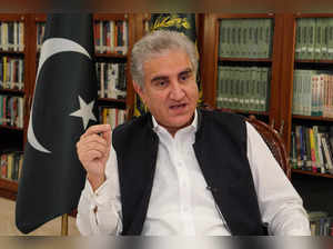 Pakistan's Foreign Minister Shah Mehmood Qureshi gestures as he speaks during an interview with Reuters in Islamabad