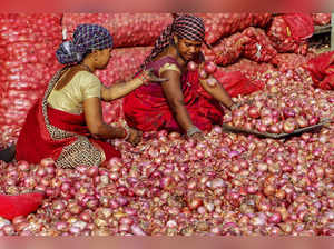Nagpur: Workers sort onions at Kalamna wholesale market, in Nagpur. (PTI Photo)(...