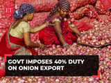 Centre imposes 40% duty on onion exports till December 31 to control rising prices