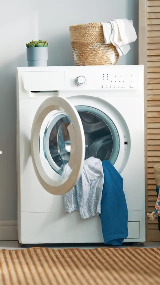 Bra How often you should wash your cloths The Economic Times