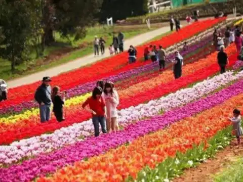 Bond between humanity and nature