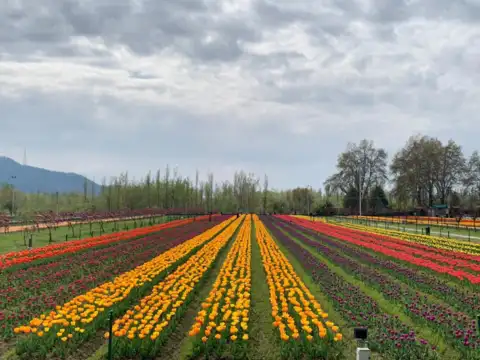 'Unparalleled beauty'​
