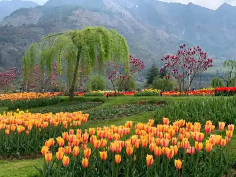 ​Other flower species​