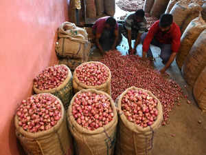 Govt imposes 40% duty on onion exports to check price rise