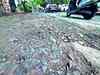 Frustrated with govt apathy, Bengaluru techie takes a Rs 2.7 lakh loan to fix potholes