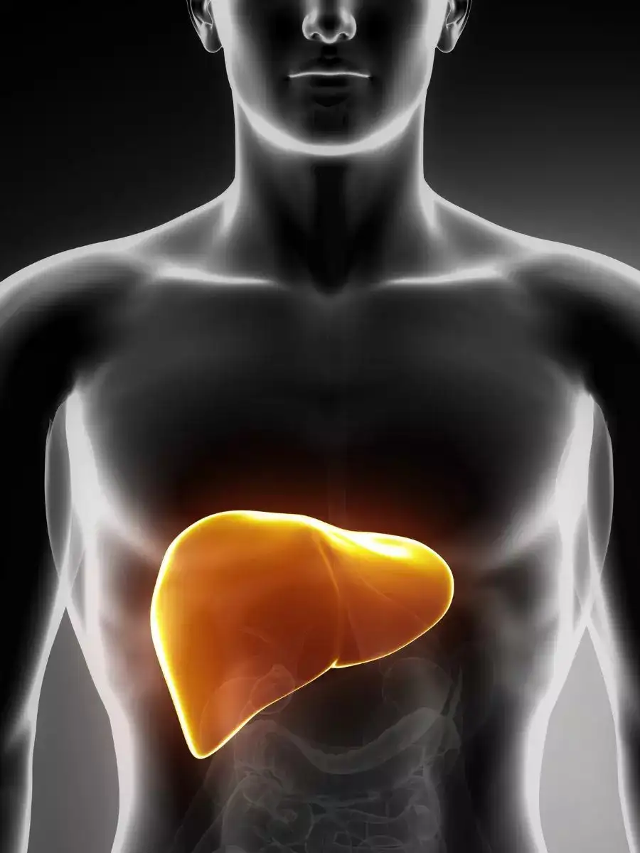 7 Fruits That Are Bad for Your Liver Filmipop