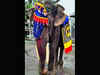 India's oldest elephant Bijuli Prasad passes away at 89