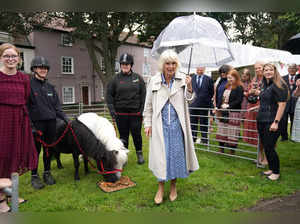 Britain's Queen Camilla visits Norfolk