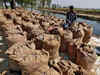 Govt sets target to procure 521.27 lakh tonnes of rice from kharif season