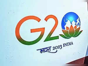 ‘Peoples’ Summit on G20’ winds up a day early after police deny permission