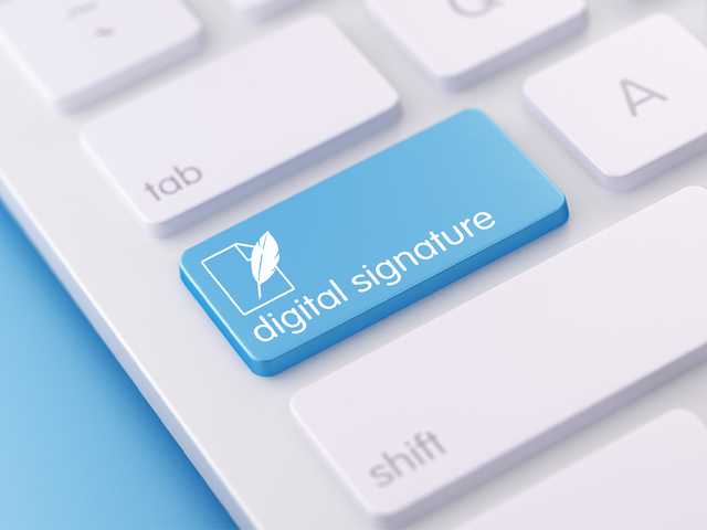 Digital Signature Certificate: Is DSC mandatory for certain users?