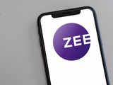 Zee Enterprises to launch South Africa's first isiZulu Entertainment Channel