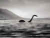 The mystery will finally uncover! Loch Ness set for biggest monster hunt in decades