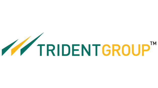 Trident Share Price Live Updates: Trident  Stock Sees 1.5% Increase Today, Trading at Rs 37.2 with 6-Month Beta of 1.0681
