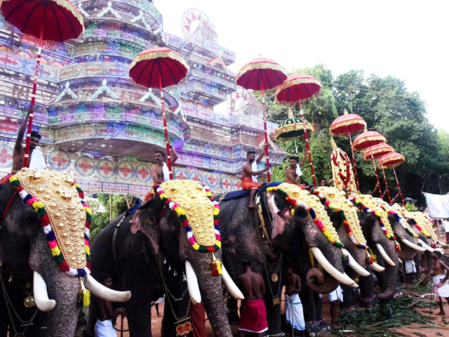  Elephant procession