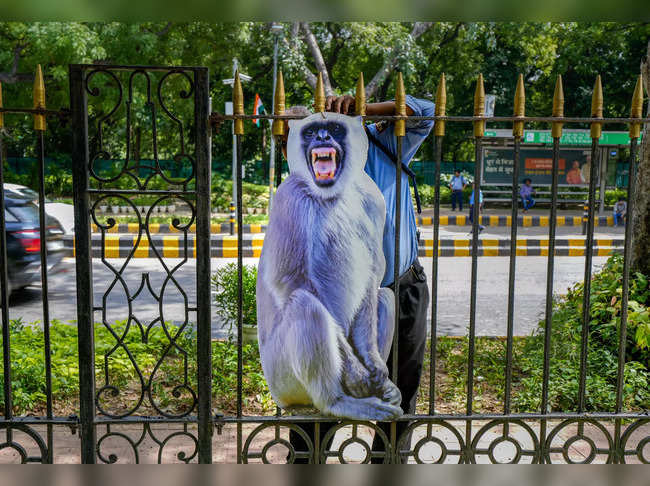 New Delhi: A cut-out of 'langur' being fixed to a fence to scare monkeys as part...