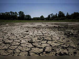 What remains of a pond affected by drought is pictured, on August 11, 2023 near Joyeux in the Dombes plateau where some ponds have almost completely dried. (Photo by JEFF PACHOUD / AFP)