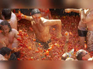 La Tomatina Festival: A colorful and pulp-filled tradition in Spain unfolds | Watch