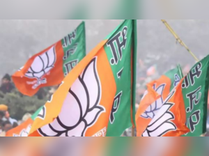 BJP’s Jan Ashirwad Yatras to begin on Sept 3, travel 10,643 kms across 210 seats