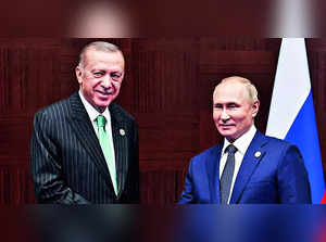 Putin, Erdogan to Meet Amid Efforts to Restore Ukraine Grain Deal