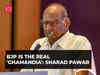 BJP's 'Ghamandia' label on INDIA Bloc reflection of their own arrogance: Sharad Pawar
