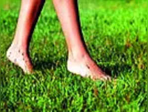 Walking Barefoot On Grass