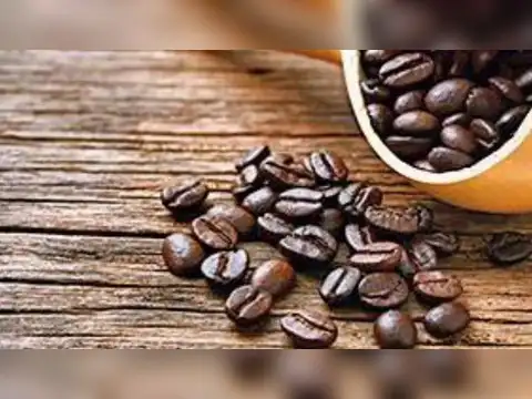 CCL Products (India)