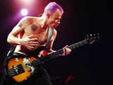 American rock band Red Hot Chili Peppers performs during a concert