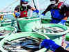 Japan fishermen and locals seek halt to Fukushima water release