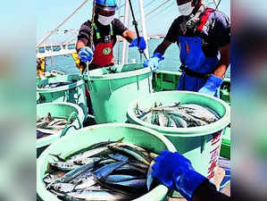 Japan Fishermen and Locals Seek Halt to Fukushima Water Release