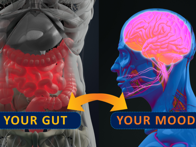 How does your diet impact your mood?